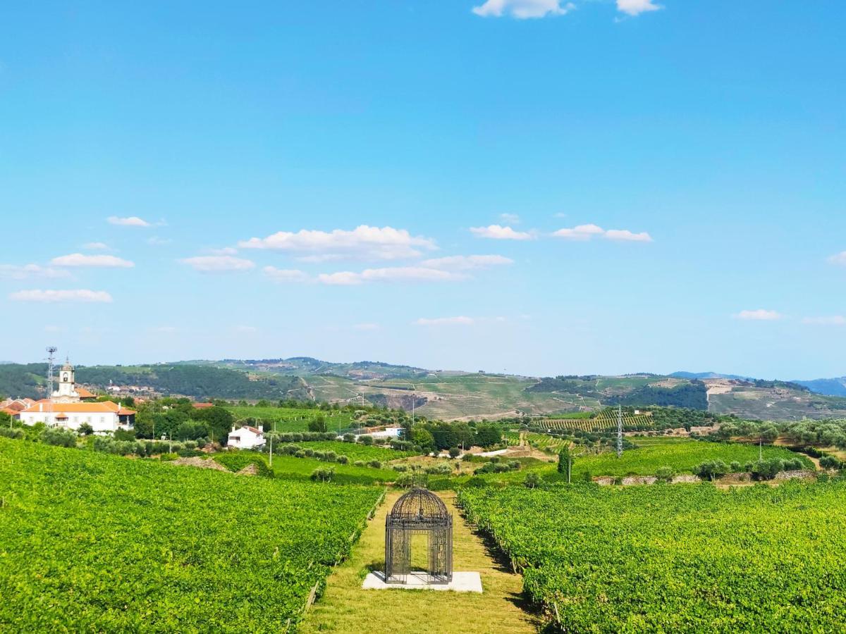 Casa Das Pipas / Quinta Do Portal Sabrosa Kültér fotó